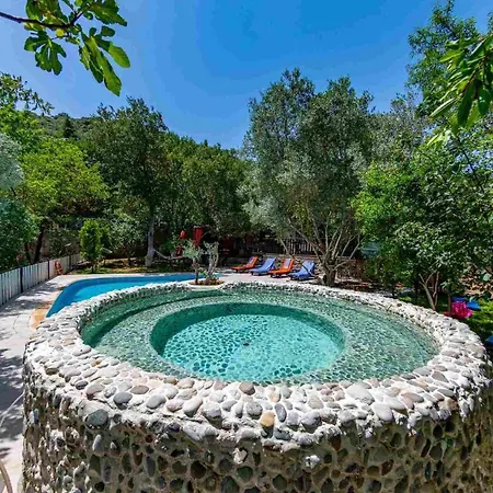 Villa 5 Star With 2 Bedrooms, 1027